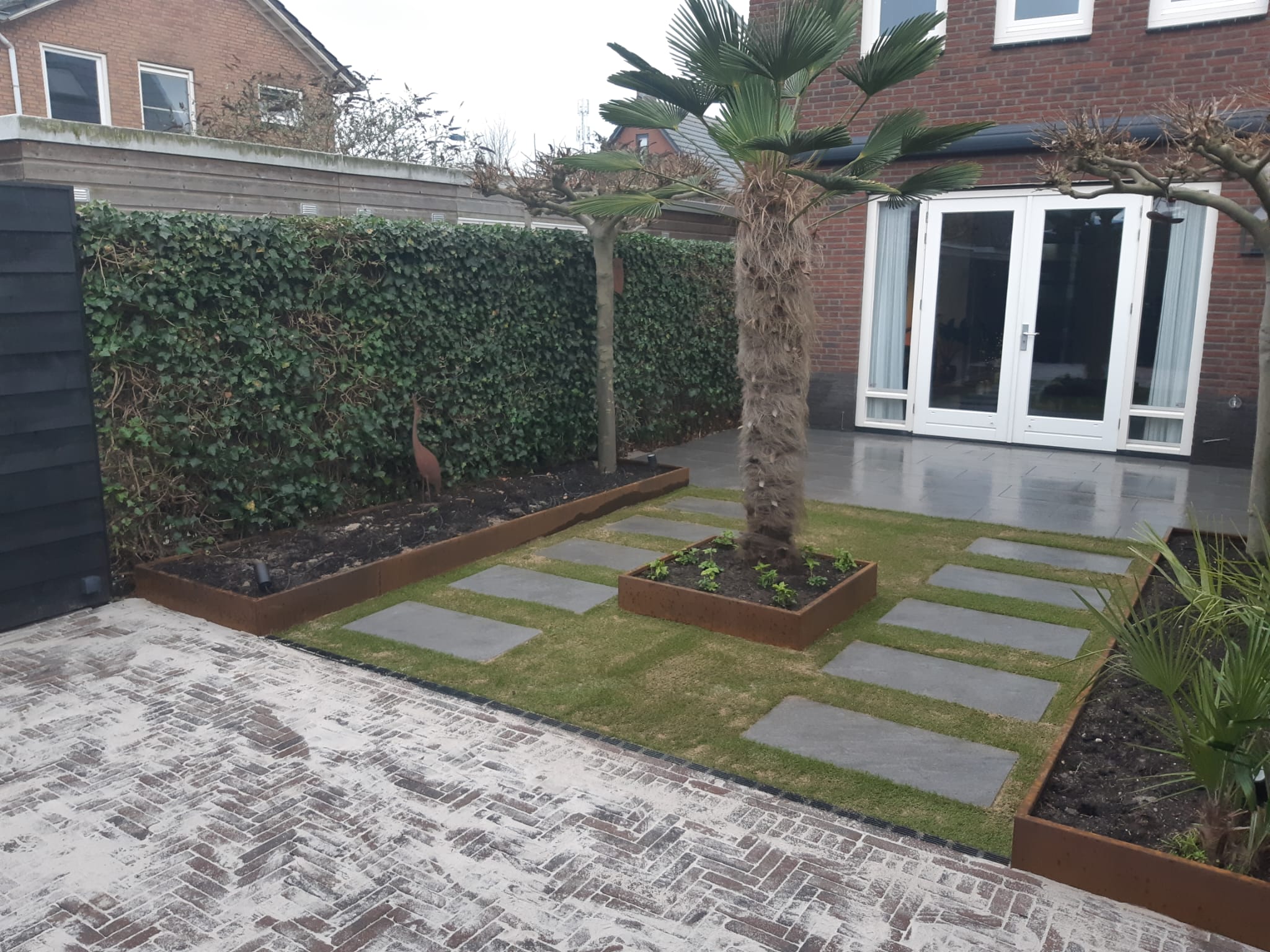 Tuin met een palm, cortenstalen borders, stapstenen in het gras en een pad van gebakken klinkers